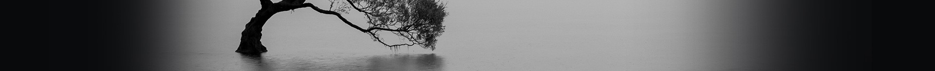 Traitement des eaux