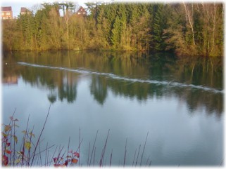 Aération plan d'eau Aquacorp