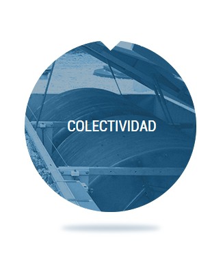 Collectividad