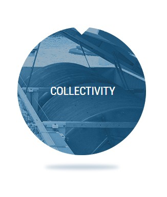Collectivity