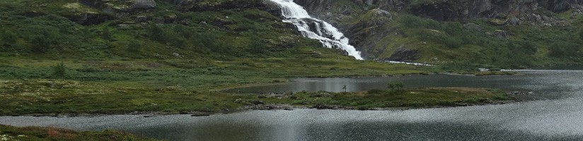 Traitement des eaux